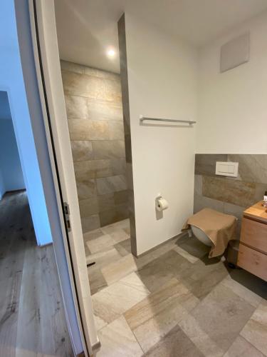 特里森贝格Triesenberg的带淋浴、卫生间和盥洗盆的浴室