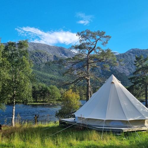 ViksdalenFlatheim Glamping的湖边草上的白色帐篷