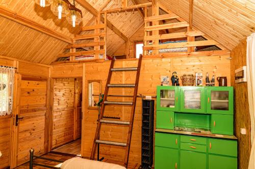 戈乌达普domek na Mazurach的小木屋内的绿色冰箱和梯子