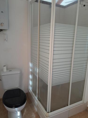 普纳奥亚Bungalow Miwa的浴室设有卫生间和玻璃淋浴间。
