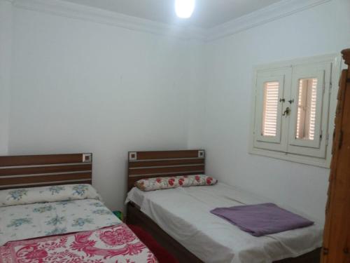阿莱曼Aida的一间卧室设有两张床和窗户。