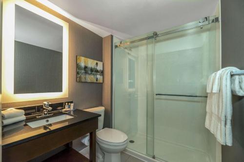 夏洛特顿夏洛特顿康福特茵酒店的带淋浴、卫生间和盥洗盆的浴室