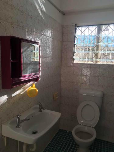 南迪Nadi Town Newly Renovated 2nd Floor Suite with Large Terrace的一间带卫生间、水槽和窗户的浴室