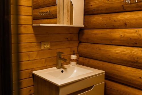 塞尼维斯卡波利亚纳Шепіт Карпат的一间带水槽和木墙的浴室
