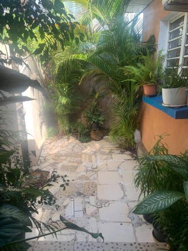 OuanganiMaison T3 75m2的种有植物的花园以及石头人行道