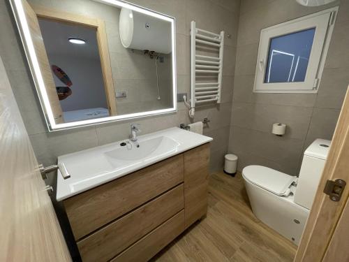 阿利坎特Pinet Playa的一间带水槽、卫生间和镜子的浴室