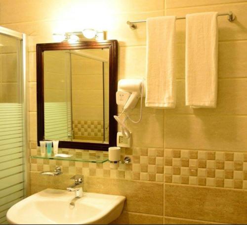 安曼Olive Hotel Amman的一间带水槽和镜子的浴室