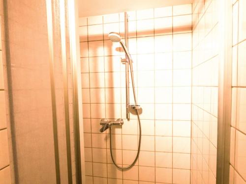 巴登-巴登Loft Sven的浴室内配有淋浴和头顶淋浴