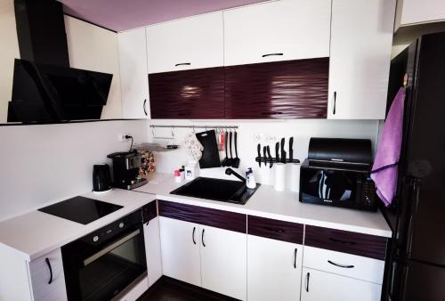 潘波洛沃Апартамент 204 Студенец的厨房配有白色橱柜和黑色冰箱。