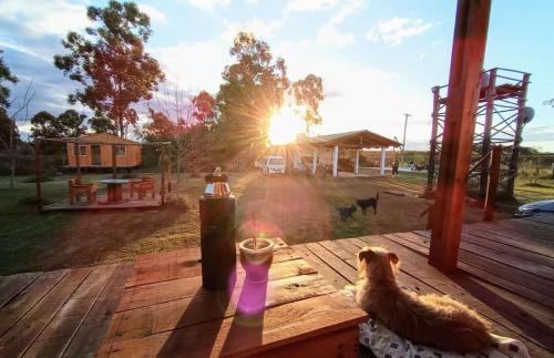康考迪亚Campo Verde的一只狗坐在木桌旁,背着日落