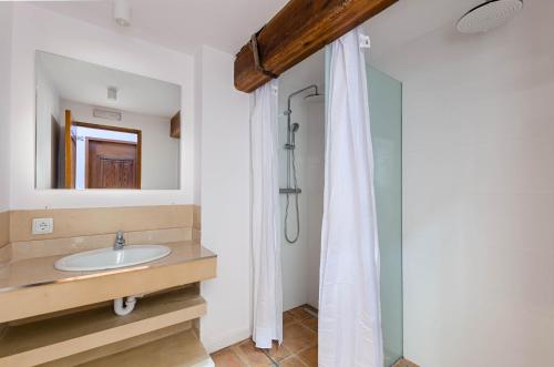马略卡岛帕尔马Urban Hostel Palma - Albergue Juvenil - Youth Hostel的一间带水槽和淋浴的浴室