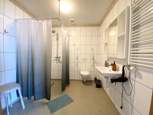 塞济斯菲厄泽Studio Apartments的带淋浴、卫生间和盥洗盆的浴室