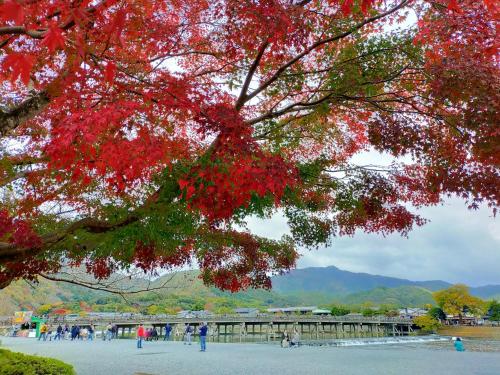 京都Kadensho, Arashiyama Onsen, Kyoto - Kyoritsu Resort的桥前有红叶的树