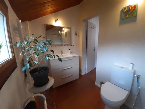 Ligny-le-RibaultLes Hautes Charmante Ferme solognote的一间带卫生间和盆栽的浴室