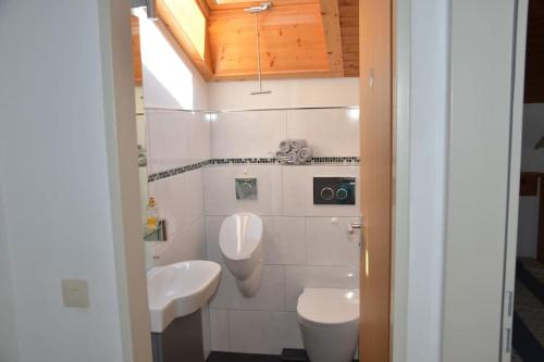 希格斯多夫AlpenGlück – **** Ferienwohnung的一间带卫生间和水槽的浴室