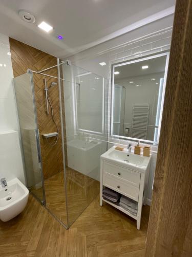 梅希莱尼采Route 7 Rooms的一间带水槽、淋浴和卫生间的浴室