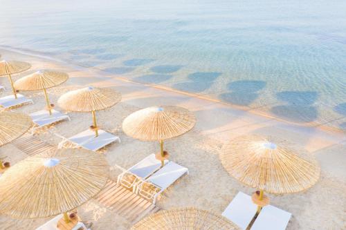尼坡帝波蒂迪亚宫酒店的海滩上椅子和遮阳伞的顶部景色