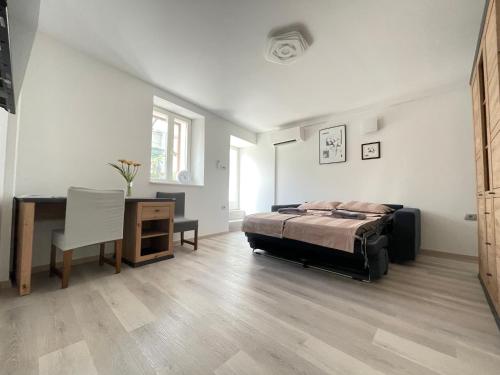 科佩尔Koper Relax home的一间卧室配有一张床、一张书桌和一张书桌