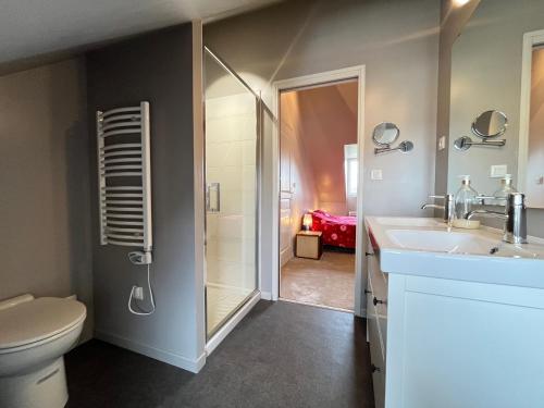 勒芒Le Roadtrip- Maison - Jardin - Tramway - 8p的带淋浴、卫生间和盥洗盆的浴室