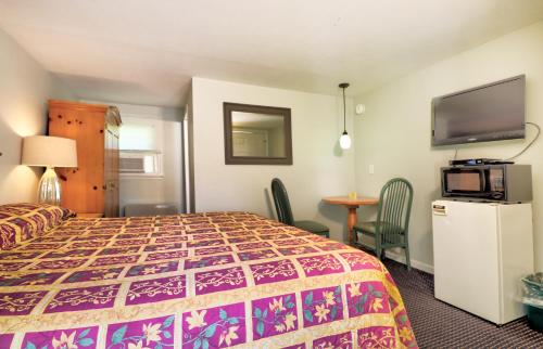 巴特利特The Villager Motel的配有一张床和一台平面电视的酒店客房