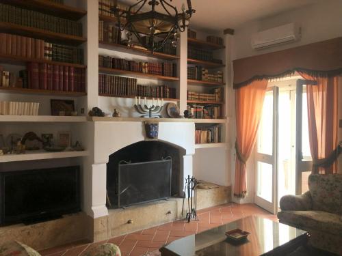 卡斯泰拉内塔Villa Francesca - Camere con giardino的客厅设有壁炉和电视。