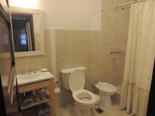 萨尔塔La casita de Cerrillos的浴室配有卫生间、盥洗盆和淋浴。