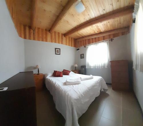 波特雷里约斯CABAÑAS RINCON DEL PLATA的一间带一张床的卧室,位于带木制天花板的房间内