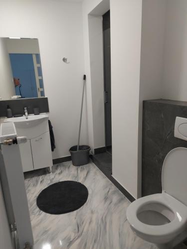 锡盖特堡Belvárosi apartmanház 2的一间带卫生间和水槽的浴室
