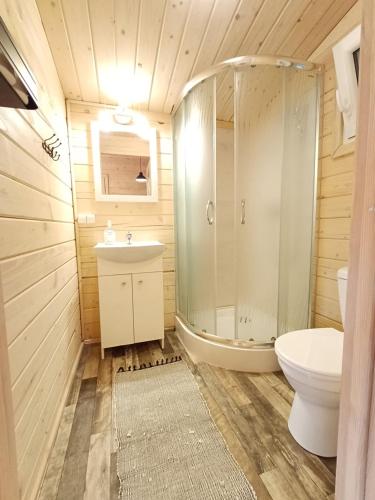 鲁恰内尼达NA KOŃCU WSI的带淋浴、盥洗盆和卫生间的浴室
