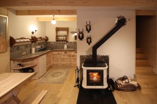 新塔尔格Domek w górach SmoLenisko的客房内的厨房配有燃木炉
