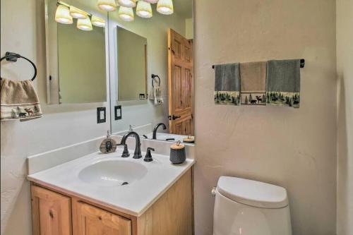 派托普湖畔Pine Cone Cabin的一间带水槽、卫生间和镜子的浴室