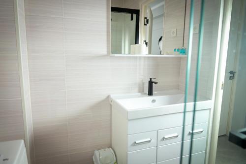奇姆肯特Hotel Borjomi的一间带水槽和镜子的浴室
