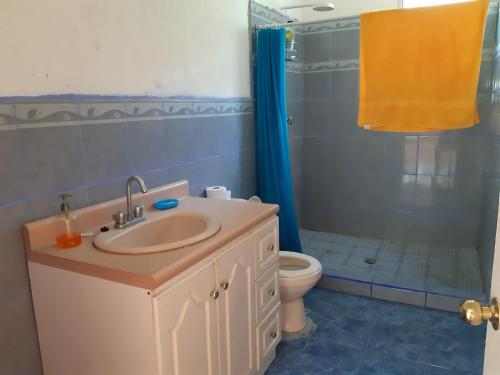 EscuintlaChalet El Paraiso的一间带水槽、淋浴和卫生间的浴室