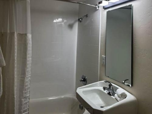 帕斯科Pasco WA的浴室配有盥洗盆、镜子和浴缸