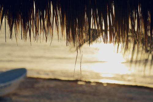 图卢姆La Conchita Tulum的海滩上的草屋顶,以大海为背景