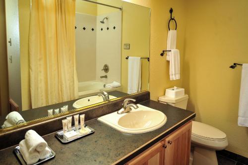 布赖恩峰钻石度假村雪松度假酒店的一间带水槽、卫生间和镜子的浴室