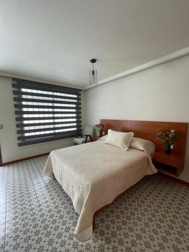 瓦哈卡市Casa Sol的一间卧室设有一张大床和一个窗户。