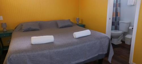 巴拉斯港Cabañas Quimantu-Aguas Calientes的一间卧室配有一张带两个白色枕头的床