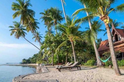 苏梅岛Five Islands Beach House Samui的海滩上种有棕榈树和长椅