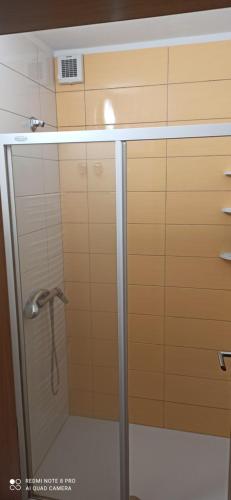 GradacNa vrtu K25的带淋浴的浴室和玻璃门