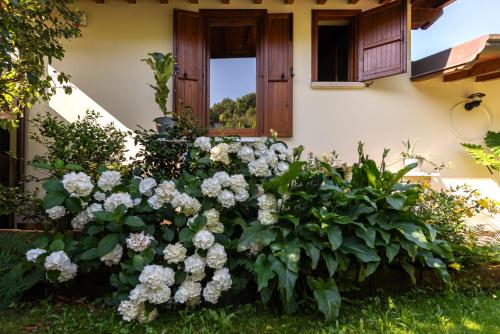 加瓦尔多Alice nel Paese delle Meraviglie的一座房子前的白色花卉花园