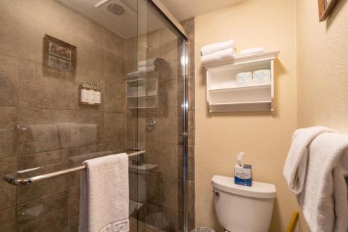 特柳赖德Manitou Lodge 8 Hotel Room的一间带卫生间和玻璃淋浴间的浴室