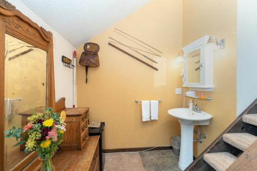 特柳赖德Manitou Lodge 8 Hotel Room的一间带水槽和花瓶的浴室