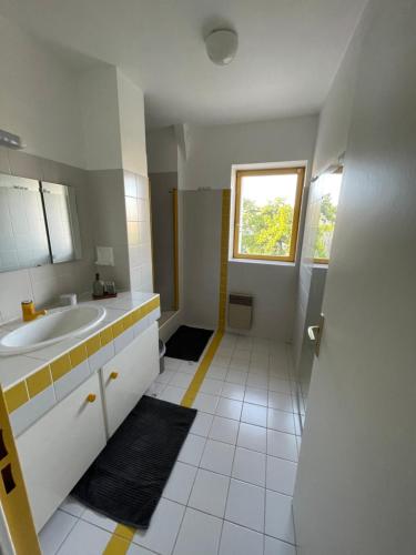 普瓦捷Grand Appartement Hypercentre avec Terrasse et Parking的白色的浴室设有水槽和窗户。