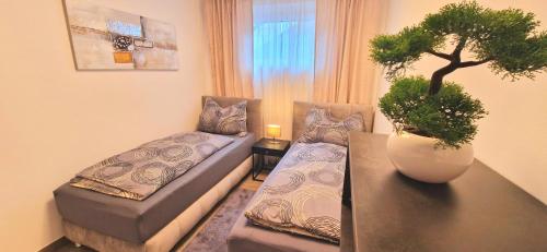 格拉茨Stilvolle moderne 3-Zimmerwohnung的客厅配有沙发和桌子上的植物