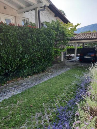 托尔明Hiša odprtih vrat的一座花园,位于一座房子前面,设有停车位