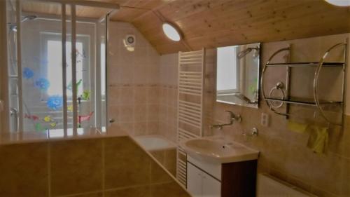 JindřichovChata u hajného的一间带水槽、淋浴和镜子的浴室