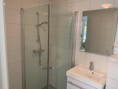 奥斯陆Oslo apartment center的一间带玻璃淋浴和水槽的浴室