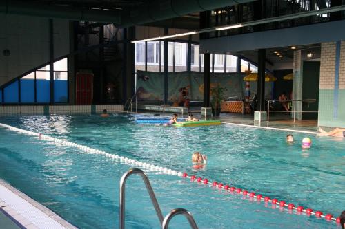 比伦Chalet Zeester J38 Ameland的一群人在游泳池游泳