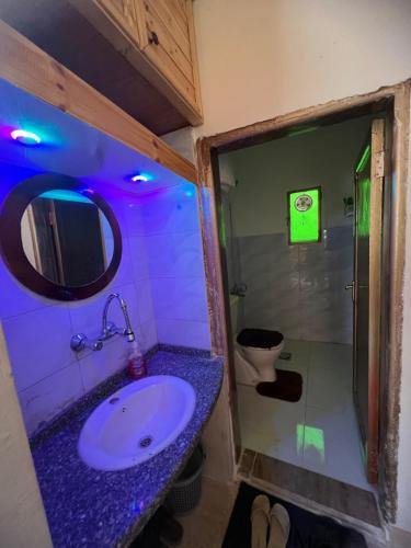 阿杰隆Oak Farm مزرعة الملّول的一间带水槽的浴室和一个带紫色灯的卫生间